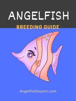 Angelfish breeding guide ebook pdf