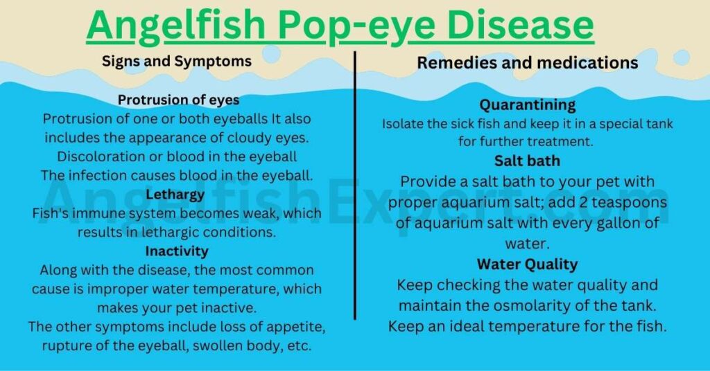 Angelfish Pop-eye Disease Signs, Symptoms and Remedies