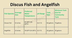 Comparison of Tank Requirements for Discus Fish and Angelfish