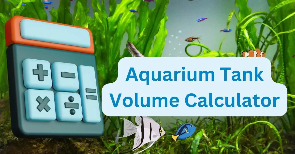 Aquarium Volume Calculator