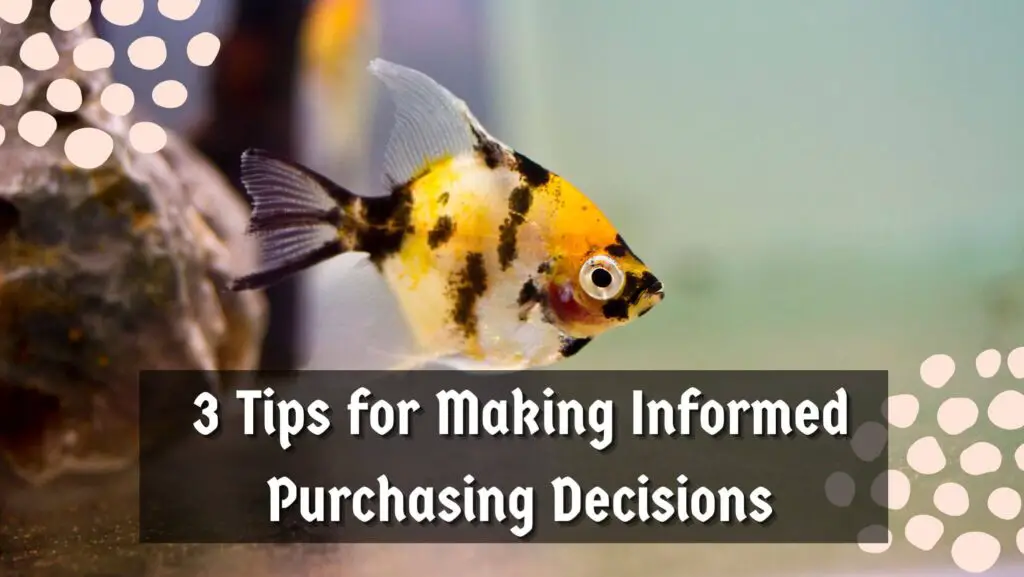 3 Tips for Making Informed Purchasing Decisions