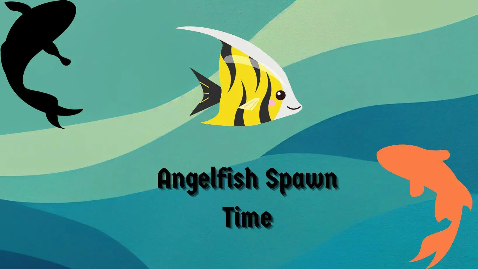 Angelfish Spawn Time