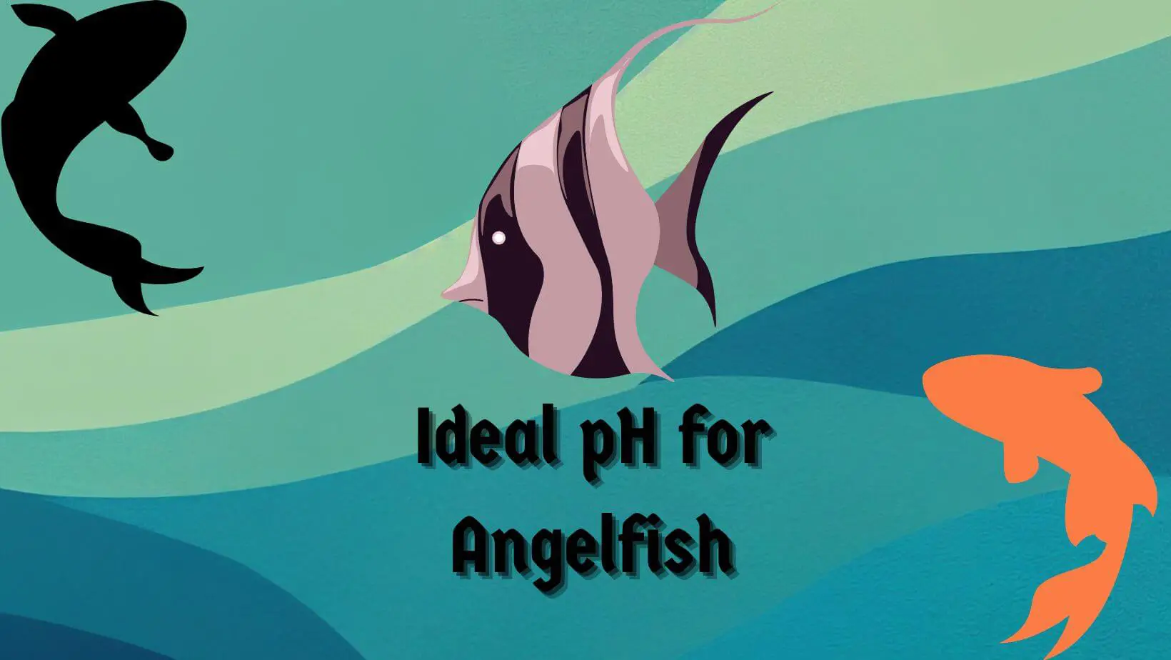 Ideal pH for Angelfish