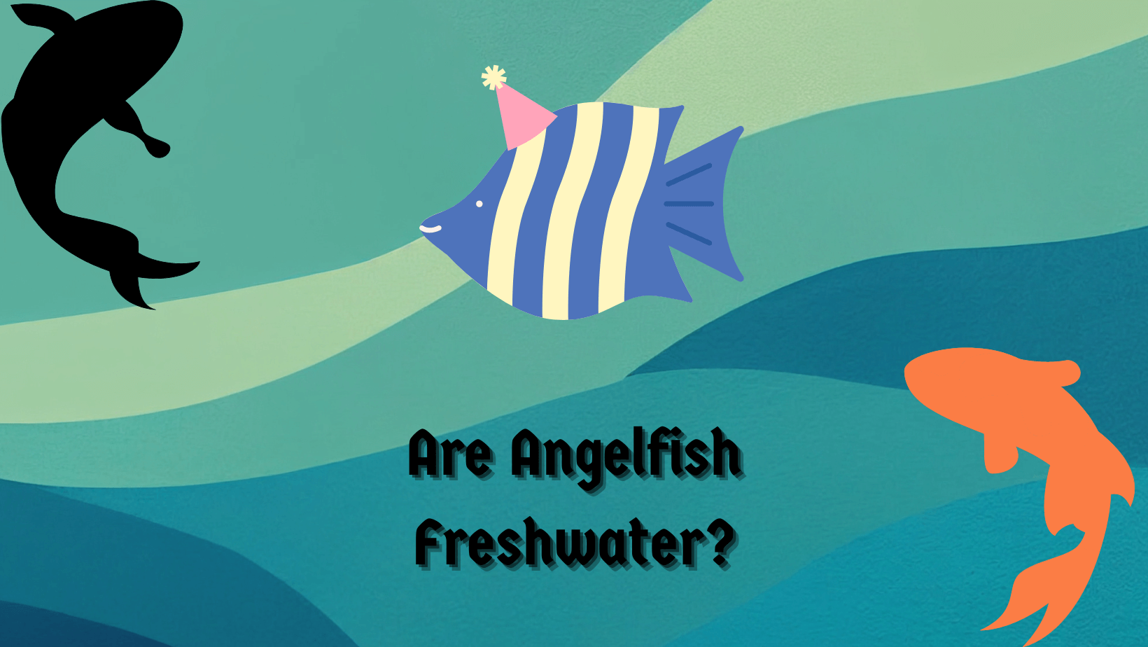 Are Angelfish Freshwater?