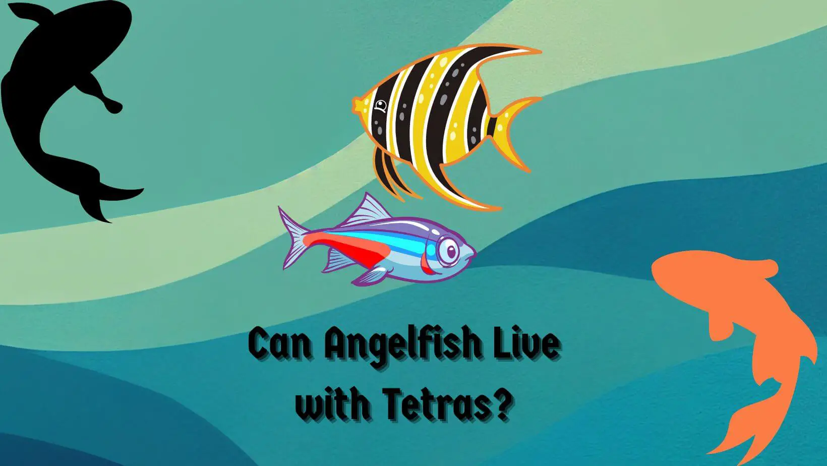 Can Angelfish Live with Tetras