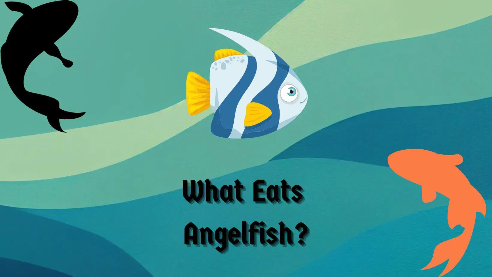 What Eats Angelfish